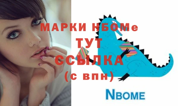 соль ск Краснослободск