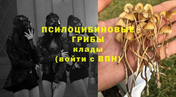 прущие крисы Красноперекопск