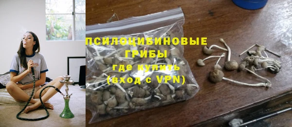 соль ск Краснослободск