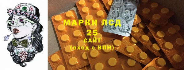 стаф Корсаков