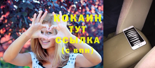 соль ск Краснослободск