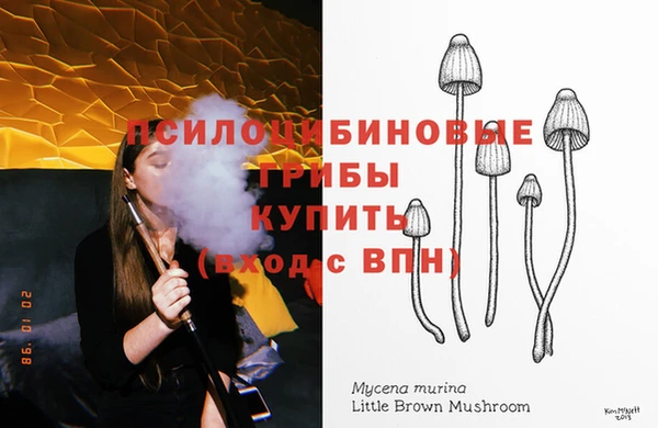 прущие крисы Красноперекопск
