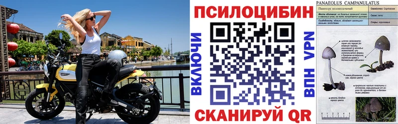 Галлюциногенные грибы мицелий  mega ссылка  Медвежьегорск 